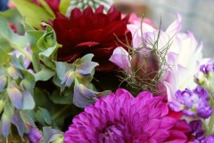 ceremony_126