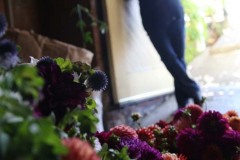 setupflowers_19