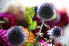 setupflowers_21